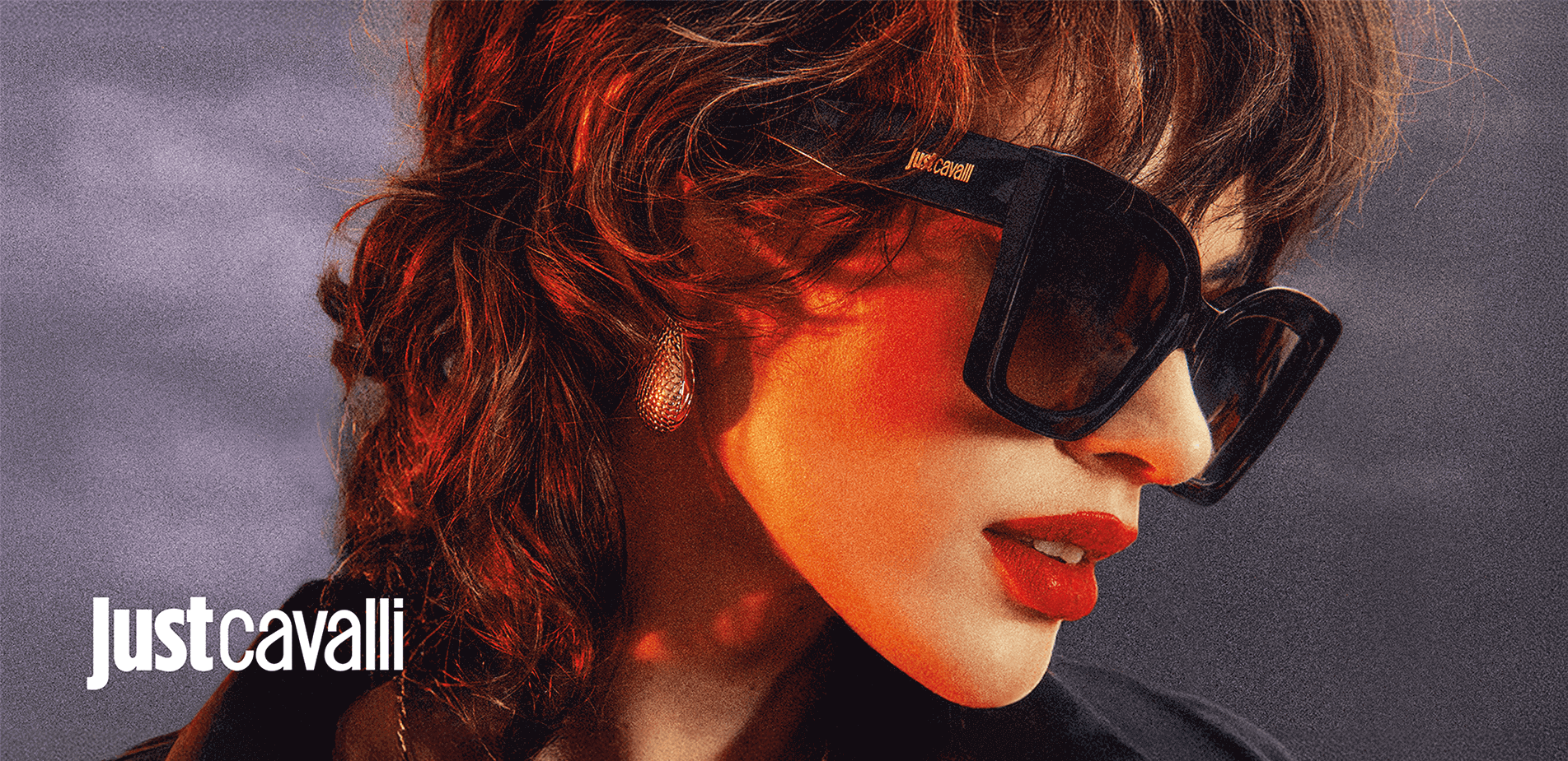 1748843591_0_Fielmann_JUST_CAVALLI_SUN_1903x925-50b23551f3cd5c56132a146921b53a72.png